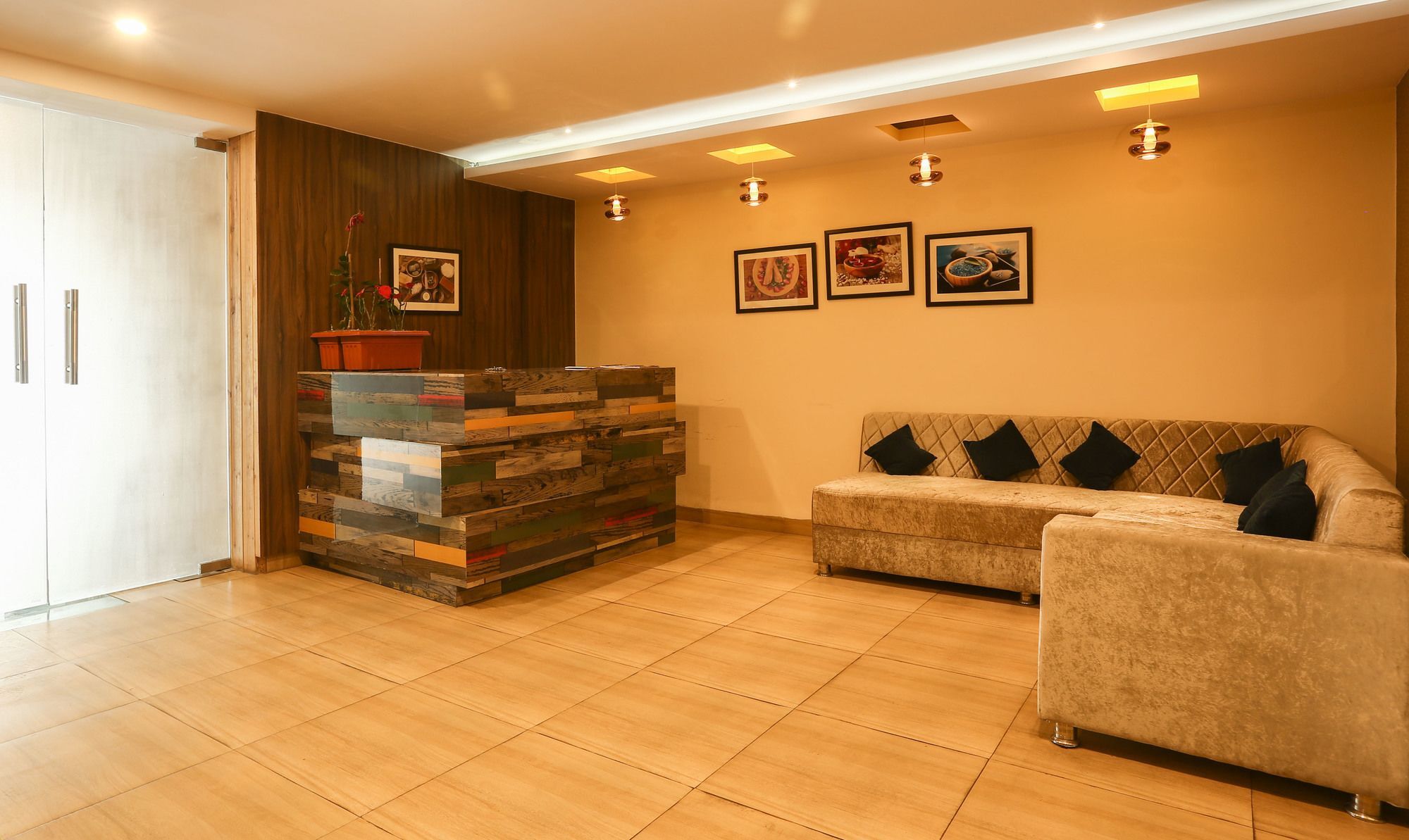 فندق Treebo Trend Gk Conifer دارامشالا المظهر الخارجي الصورة